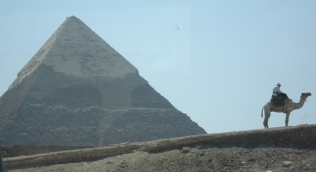 egypt_camel.jpg